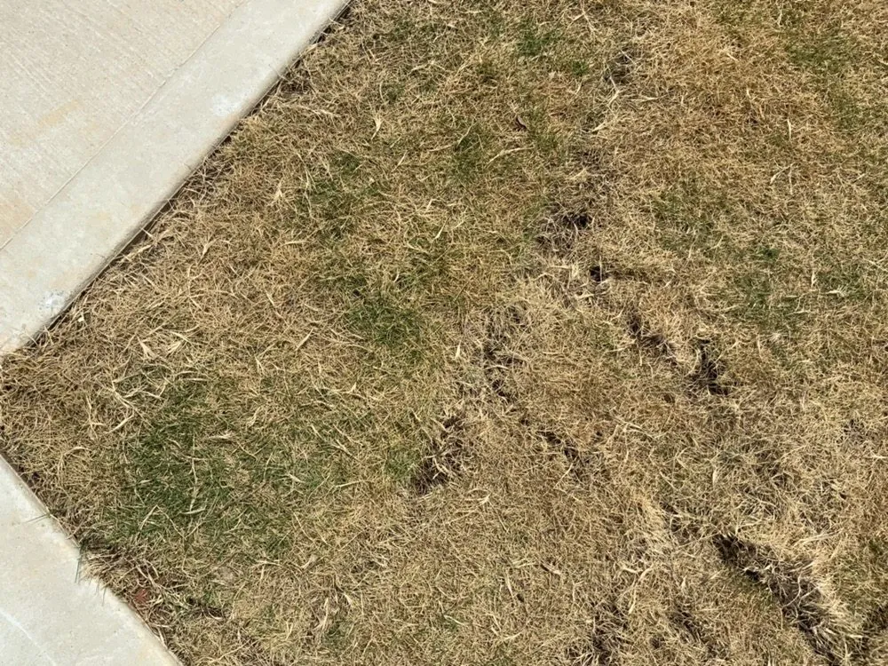 Expert landscape installation for outdoor upgrades in Dallas, GA by Stone Edge Landscapes