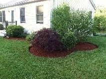 Professional yard cleanup service experts serving Kingston, NH - Stone Elements