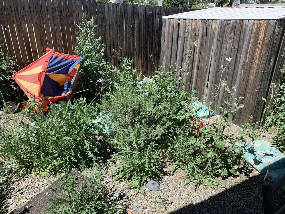 Expert residential landscaping experts serving Pensacola, FL - Stone Family Services