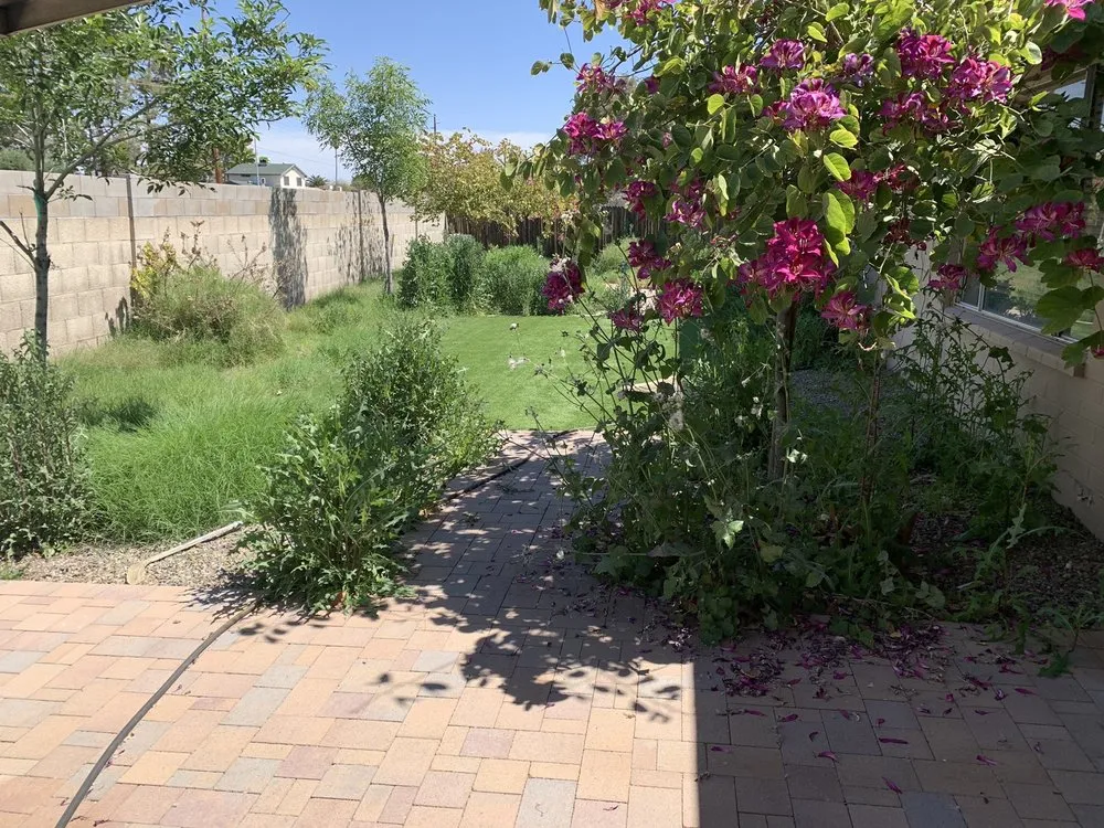 Reliable yard maintenance in Pensacola, FL by Stone Family Services