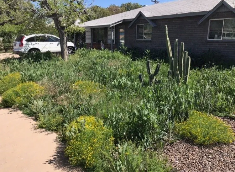 Affordable residential landscaping in Pensacola, FL - Stone Family Services