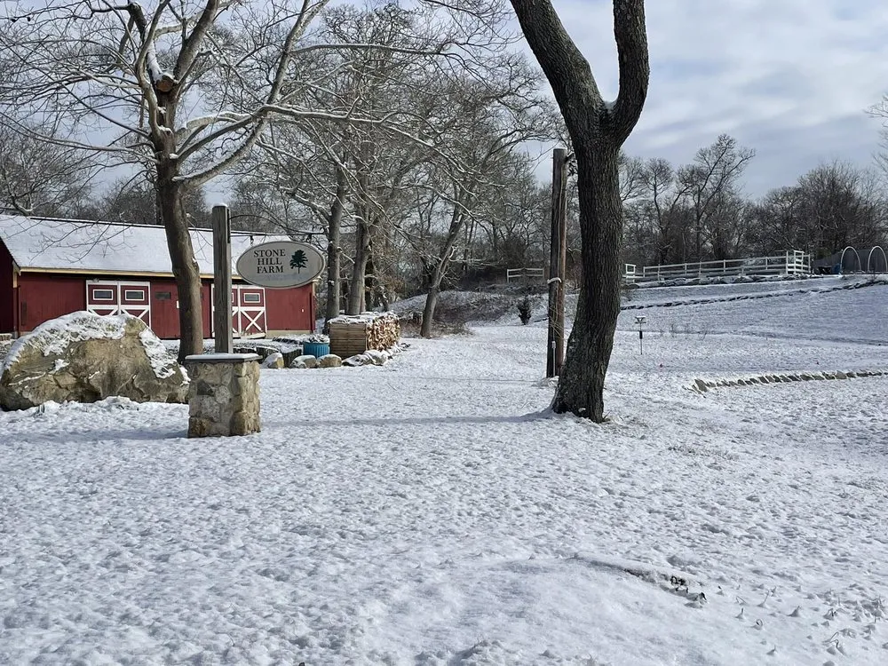 Expert yard cleanup service with custom design across Brewster, MA - Stone Hill Acres