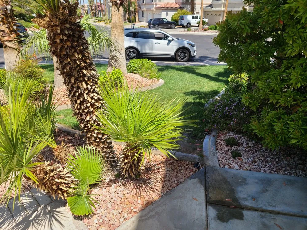Trusted yard cleanup service for residential properties in Las Vegas, NV by Stone Landscape