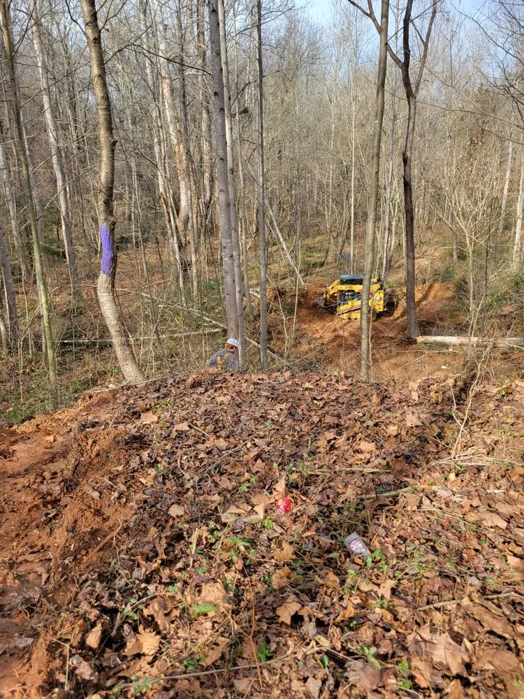 Professional yard maintenance in Denver, NC - Stone Landscaping & Pressure Washing