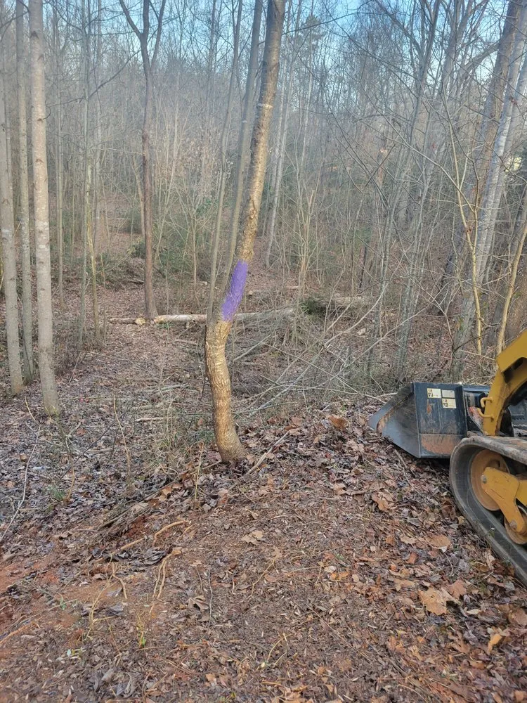 Professional outdoor landscaping in Denver, NC - Stone Landscaping & Pressure Washing