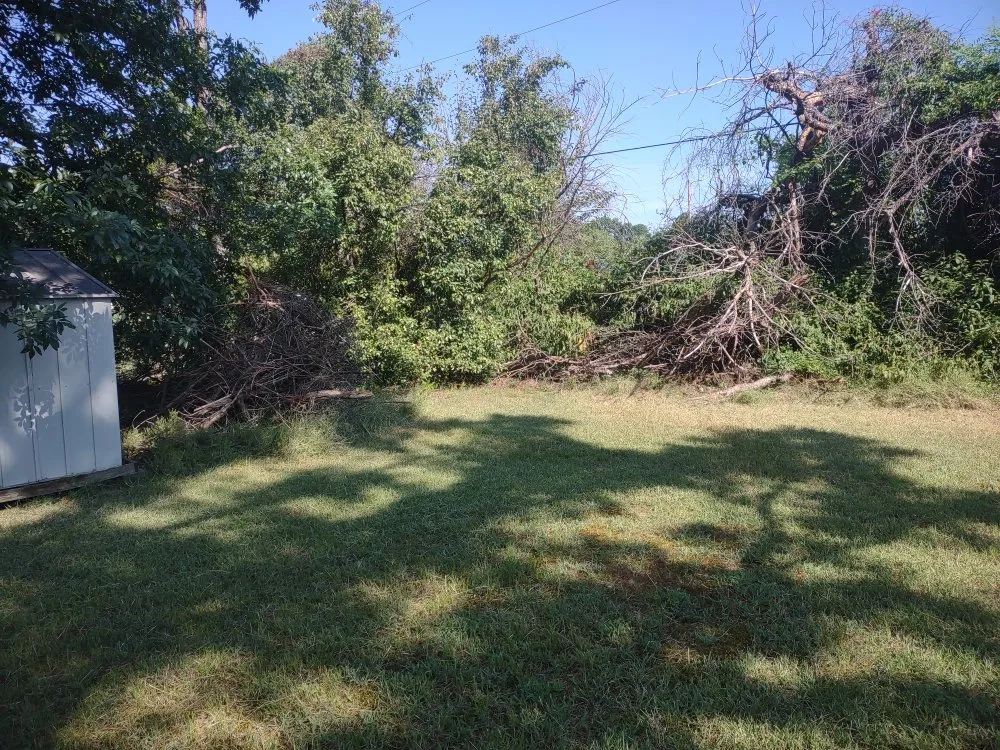 Professional outdoor landscaping in Morrilton, AR by Stone Landscaping And More