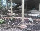 Reliable yard cleanup service in Edwardsville, IL by Stone Landscaping