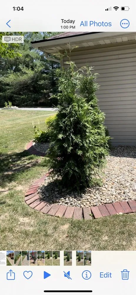 Local yard cleanup service in Edwardsville, IL - Stone Landscaping