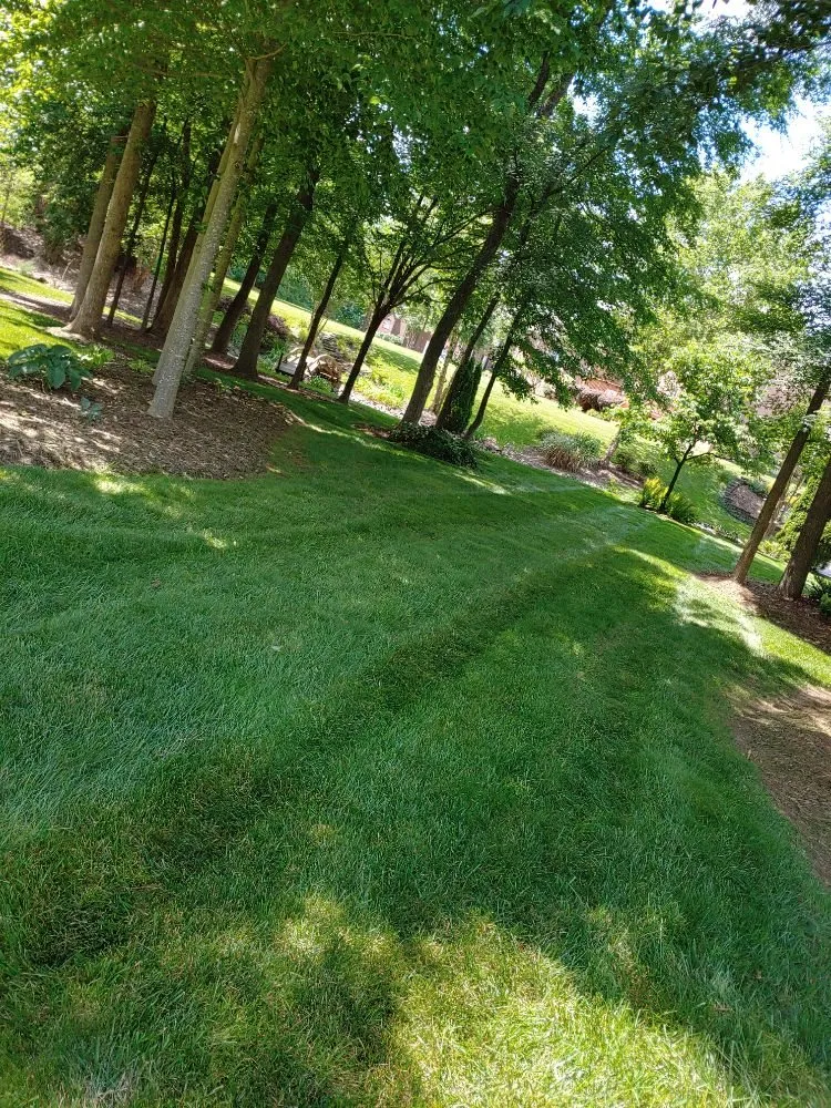 Local lawn care service for outdoor upgrades in Concord, NC by Stone Lawn Care
