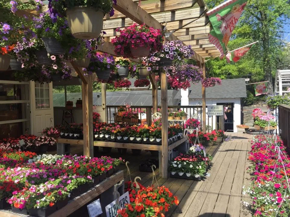 Professional landscaping services for homes across Township of Washington, NJ - Stone Mill Gardens