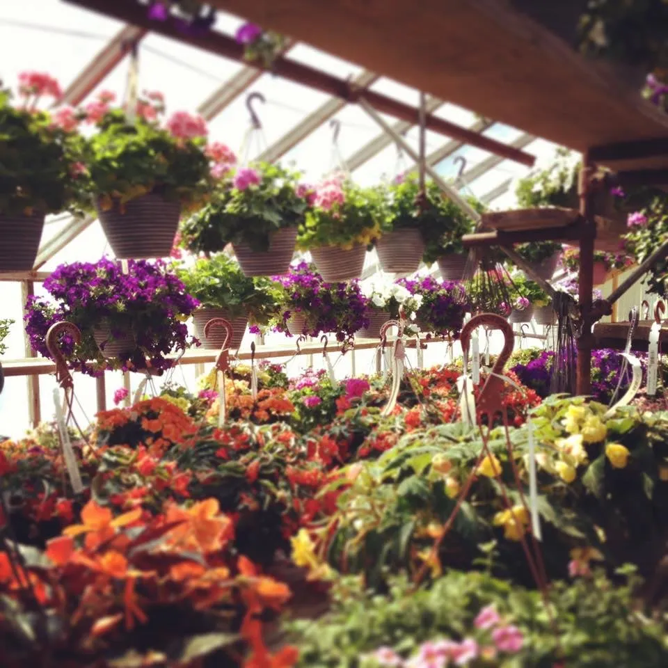 Custom outdoor landscaping in Township of Washington, NJ by Stone Mill Gardens