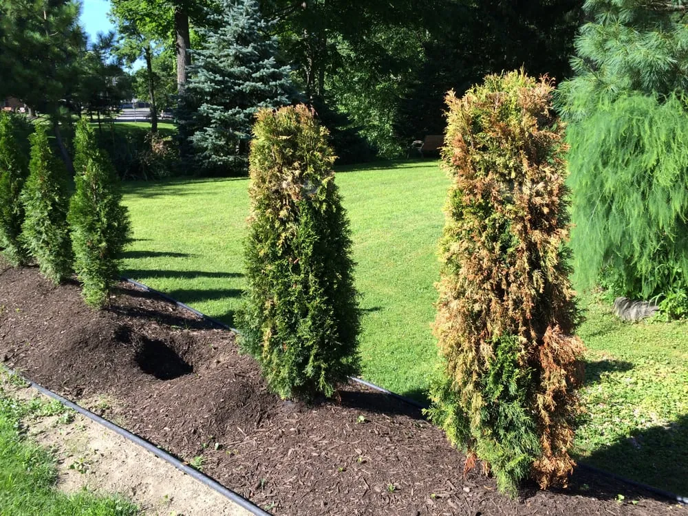 Professional outdoor landscaping in Newton Falls, OH - Stone Mulch & More