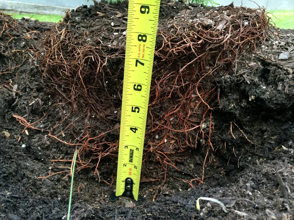 Trusted landscape design in Newton Falls, OH by Stone Mulch & More