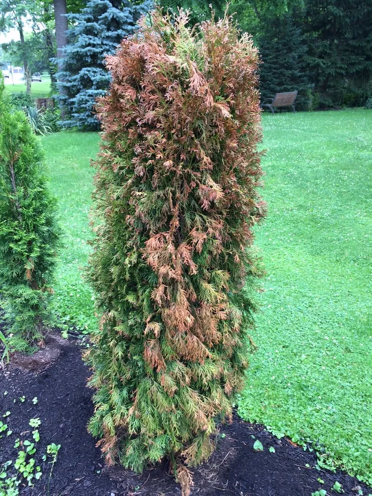 Reliable landscaping services in Newton Falls, OH by Stone Mulch & More