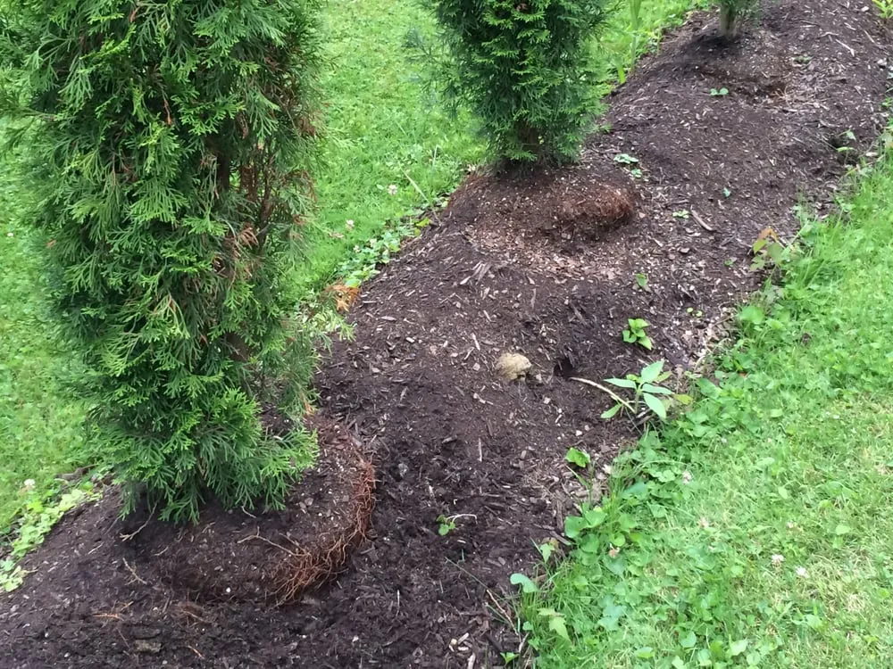Local outdoor landscaping for homes across Newton Falls, OH - Stone Mulch & More