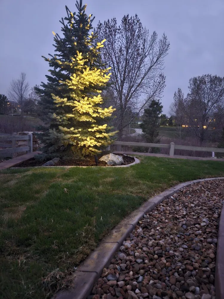 Local outdoor landscaping for residential properties across Thornton, CO - Stone Peak Landscape and Design
