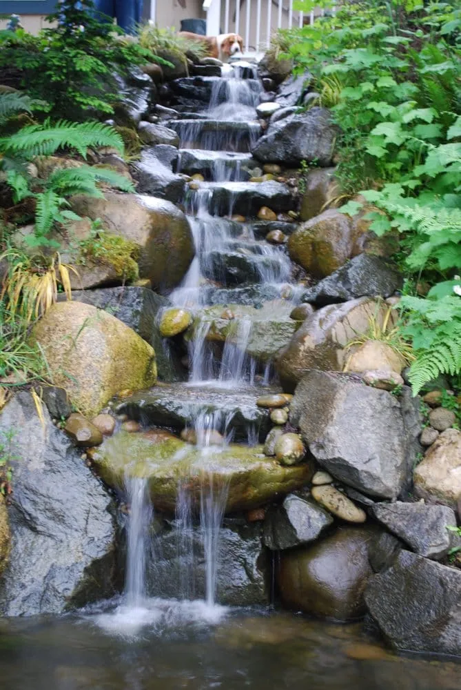 Local lawn care service in Tenino, WA by Stone People