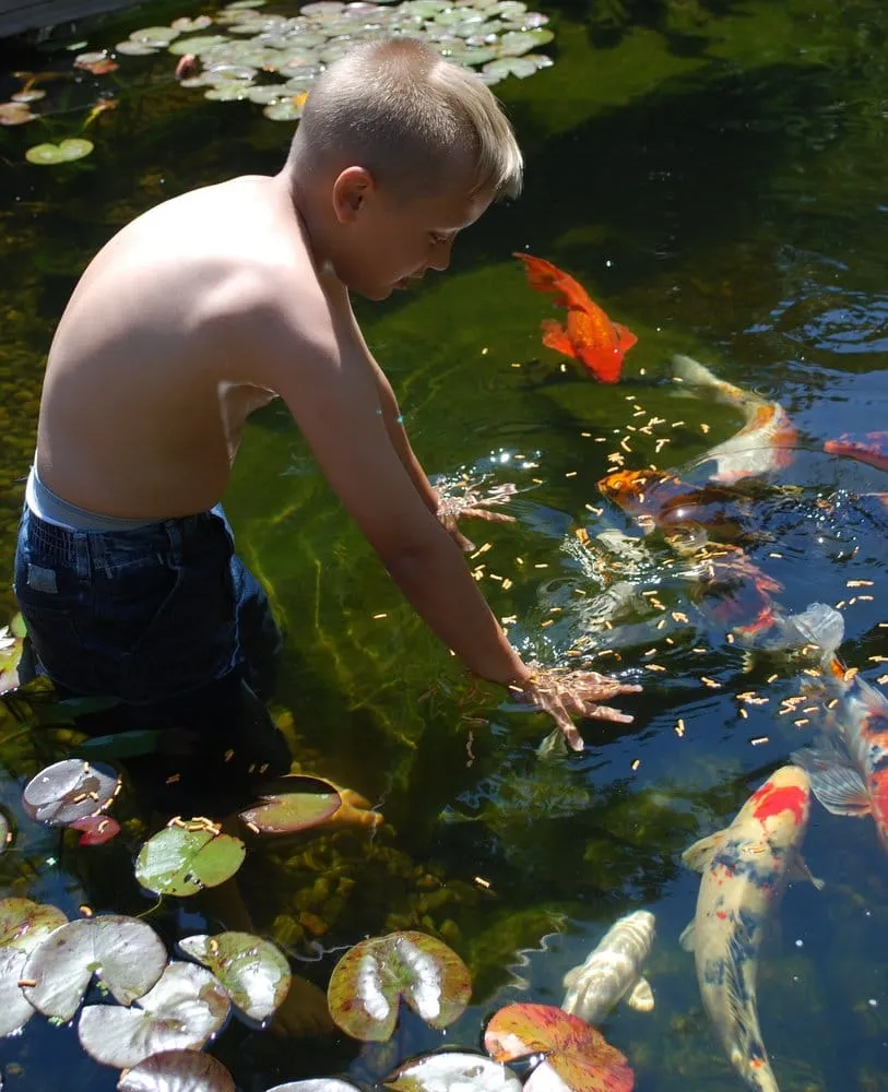 Trusted landscape design for beautiful yards in Tenino, WA by Stone People