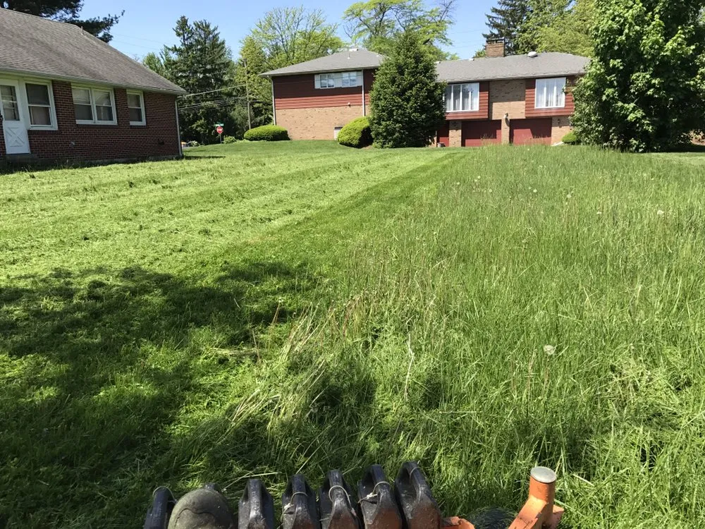Expert lawn care service experts serving Emmaus, PA - Stone Ridge Landscaping