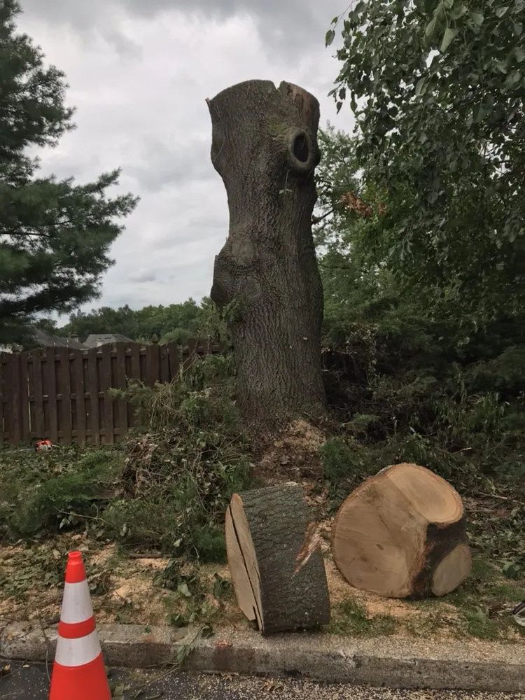 Reliable landscape design for year-round maintenance in Emmaus, PA by Stone Ridge Landscaping