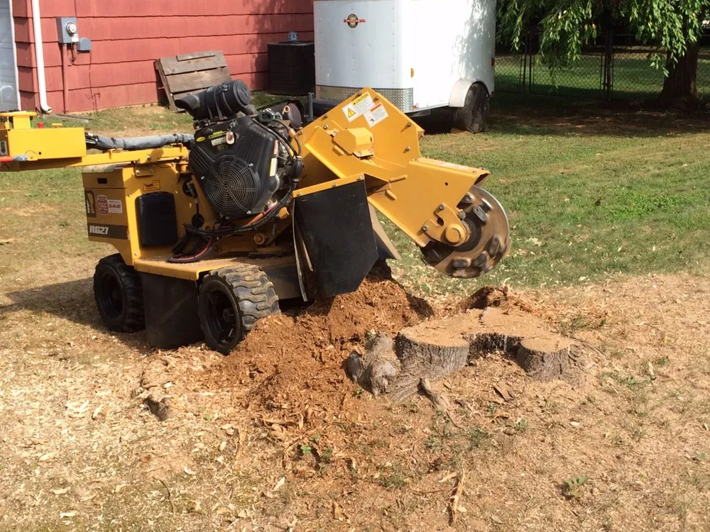 Expert yard cleanup service in Emmaus, PA by Stone Ridge Landscaping