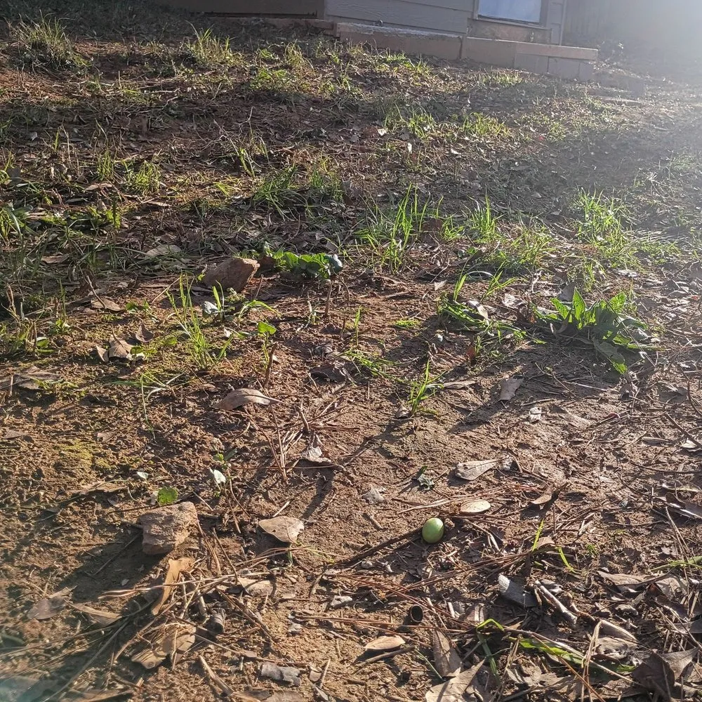 Expert residential landscaping for residential properties across Lawrenceville, GA - Stone Rose Outdoor Designs