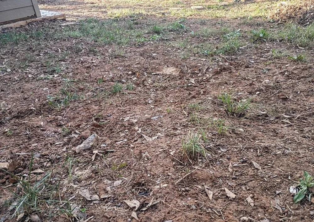 Reliable lawn care service near you in Lawrenceville, GA by Stone Rose Outdoor Designs