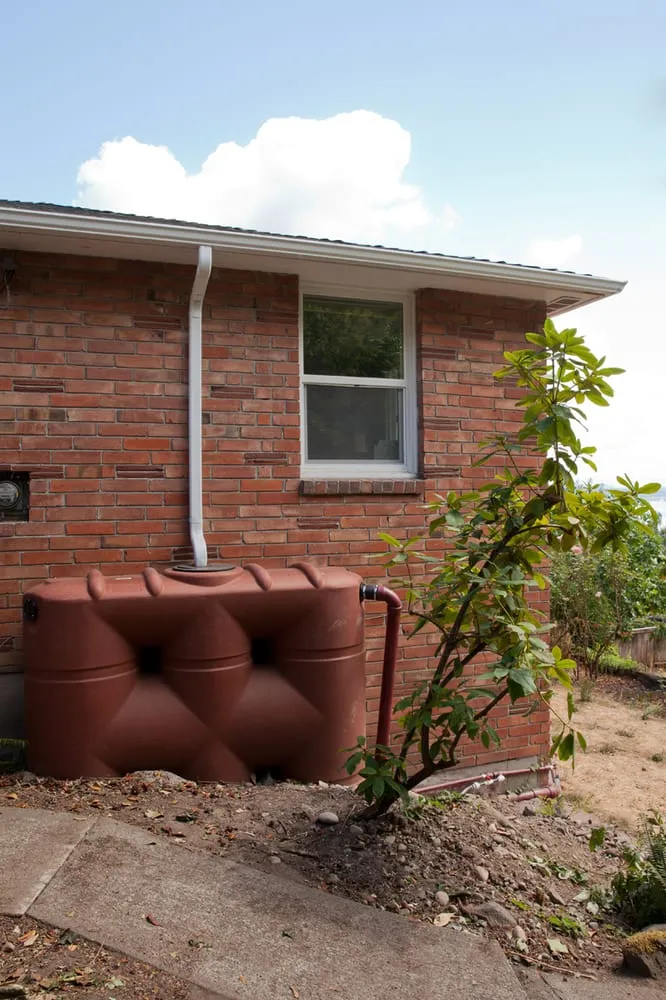 Top-rated landscape design in Seattle, WA by Stone Soup Gardens