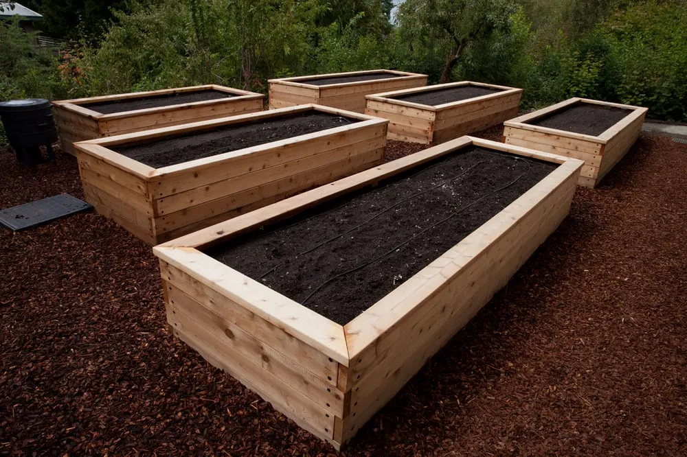 Affordable garden landscaping in Seattle, WA - Stone Soup Gardens