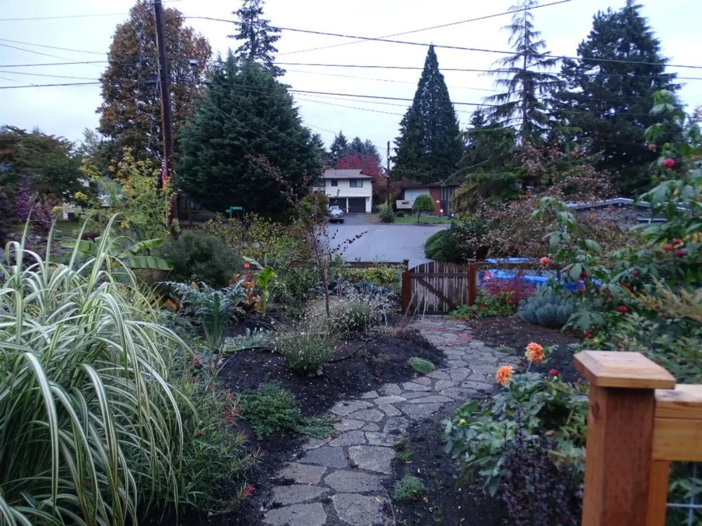 Affordable residential landscaping for outdoor upgrades in Seattle, WA by Stone Soup Gardens