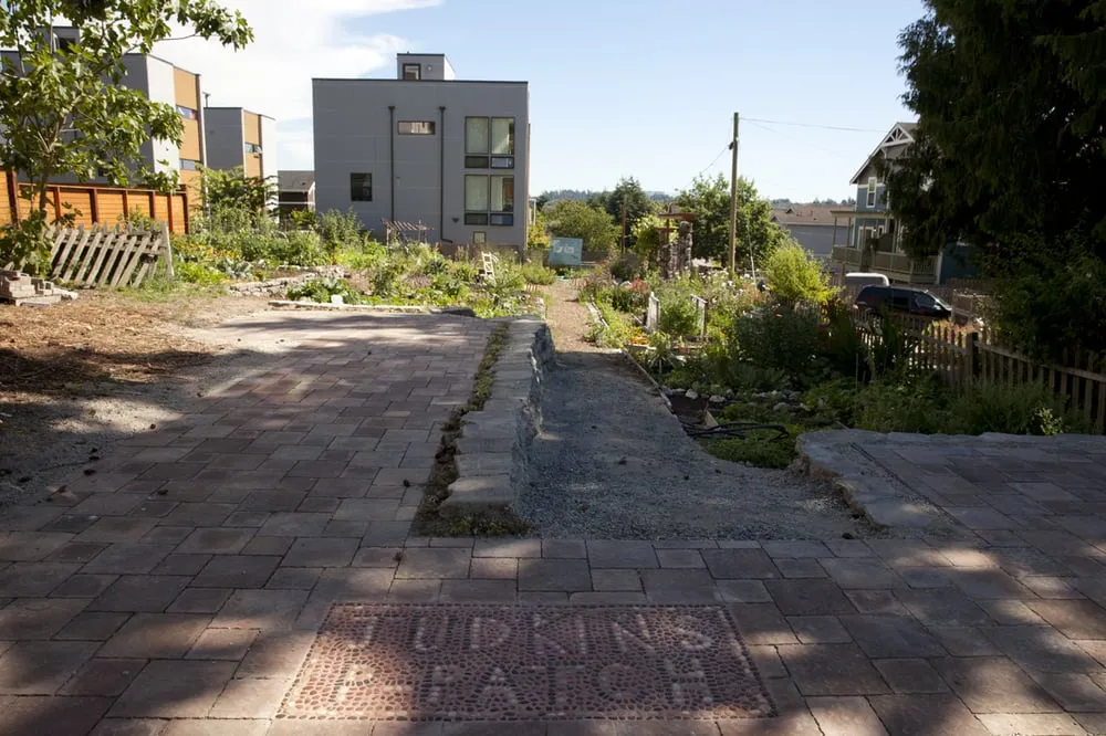 Reliable landscape design for outdoor upgrades across Seattle, WA - Stone Soup Gardens