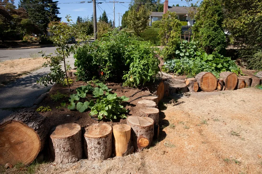 Trusted yard cleanup service near you across Seattle, WA - Stone Soup Gardens