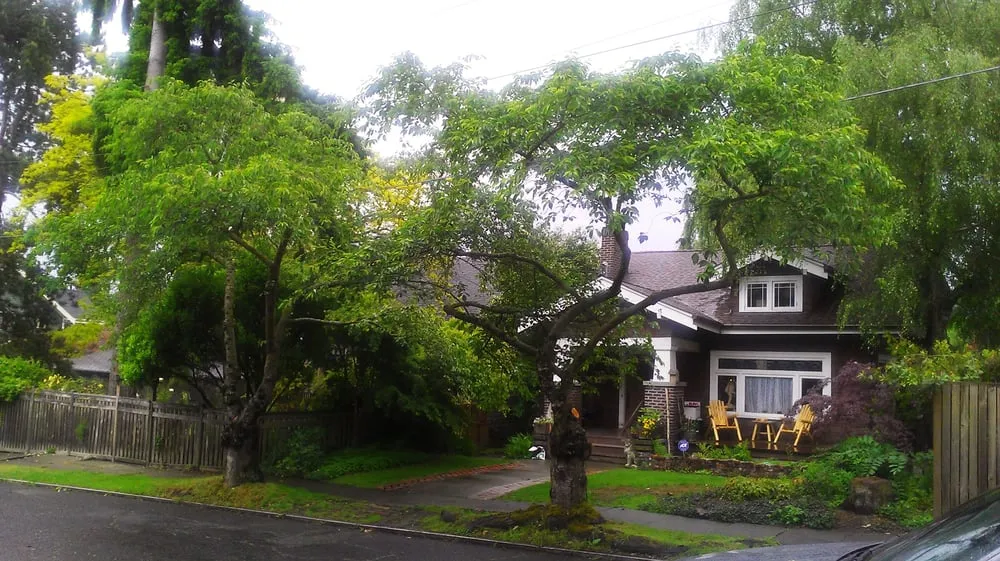 Expert outdoor landscaping in Seattle, WA - Stone Tree Services