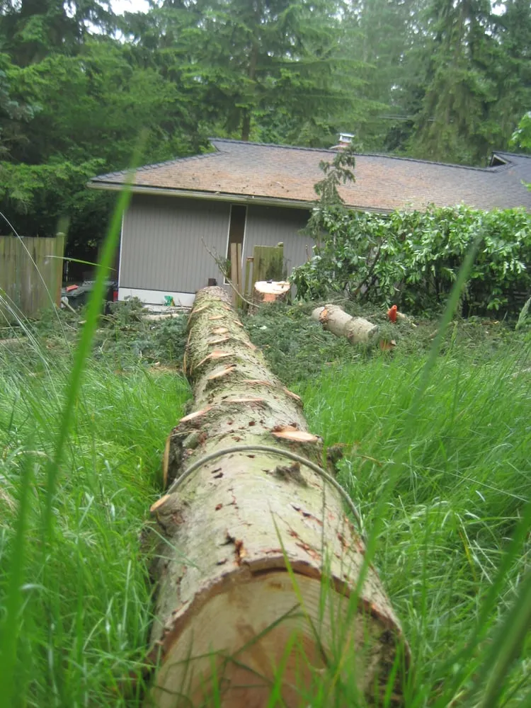 Expert landscape design for residential properties across Seattle, WA - Stone Tree Services