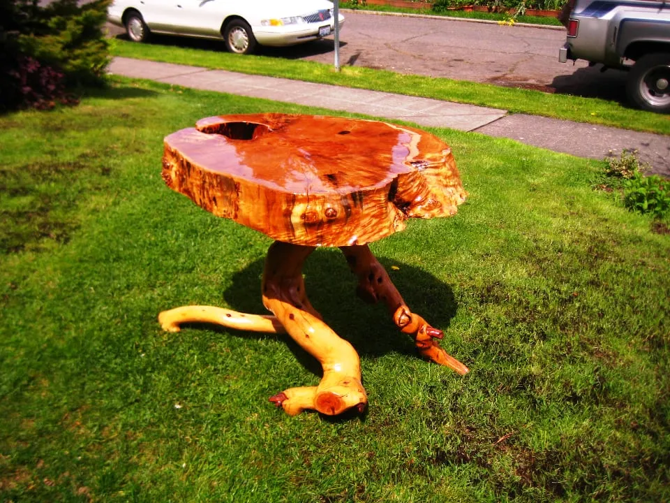 Professional landscaping services experts serving Seattle, WA - Stone Tree Services