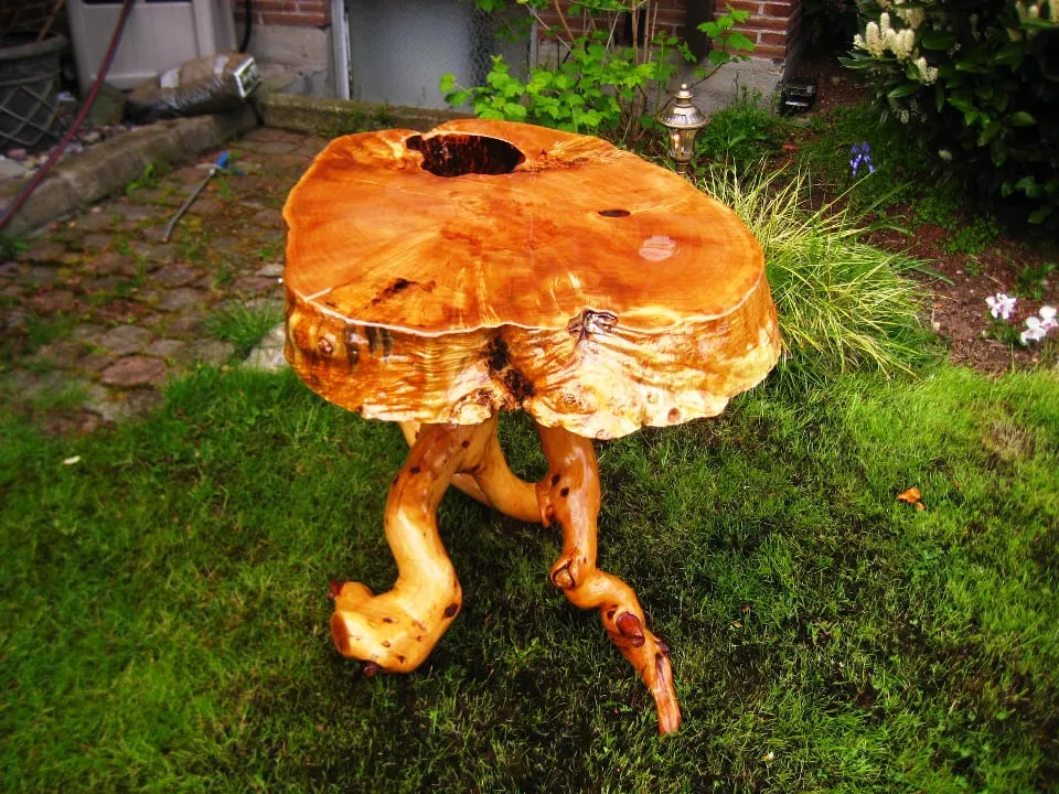 Expert landscape installation experts serving Seattle, WA - Stone Tree Services