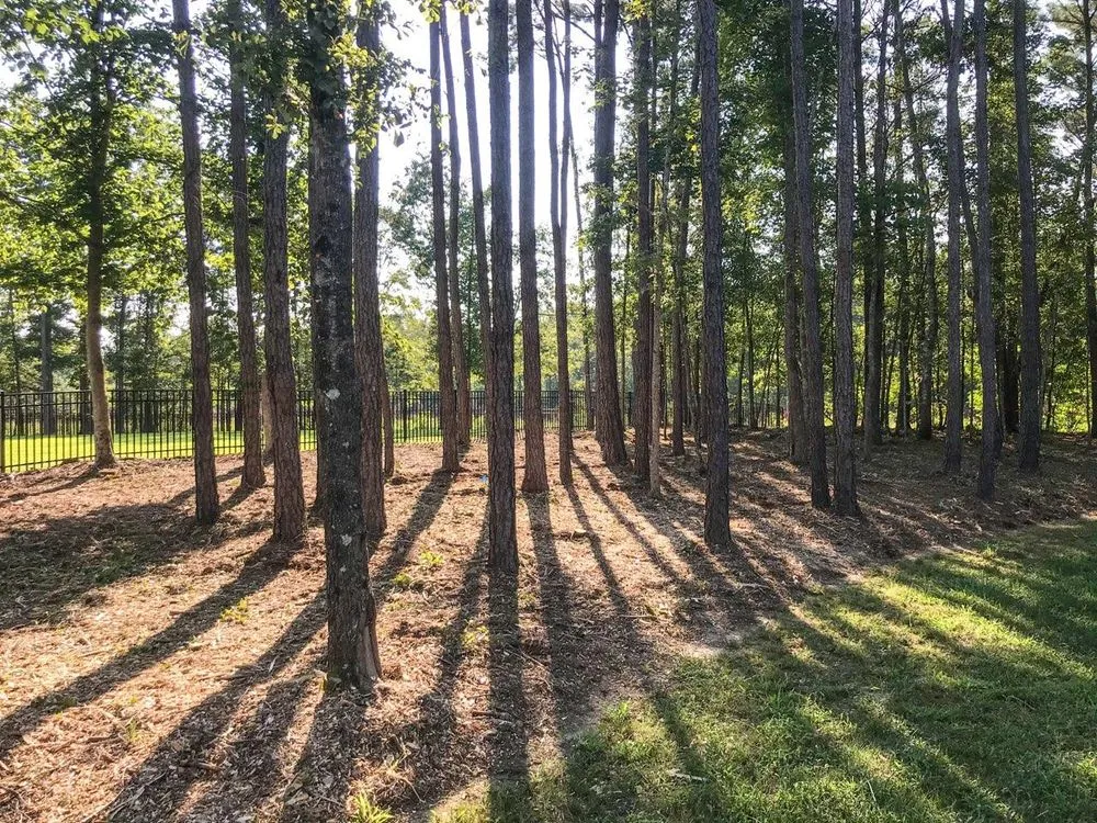 Local outdoor landscaping for beautiful yards in Raleigh, NC by Stone Valley Landscapes