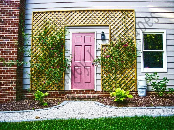 Top-rated lawn care service experts serving Raleigh, NC - Stone Valley Landscapes