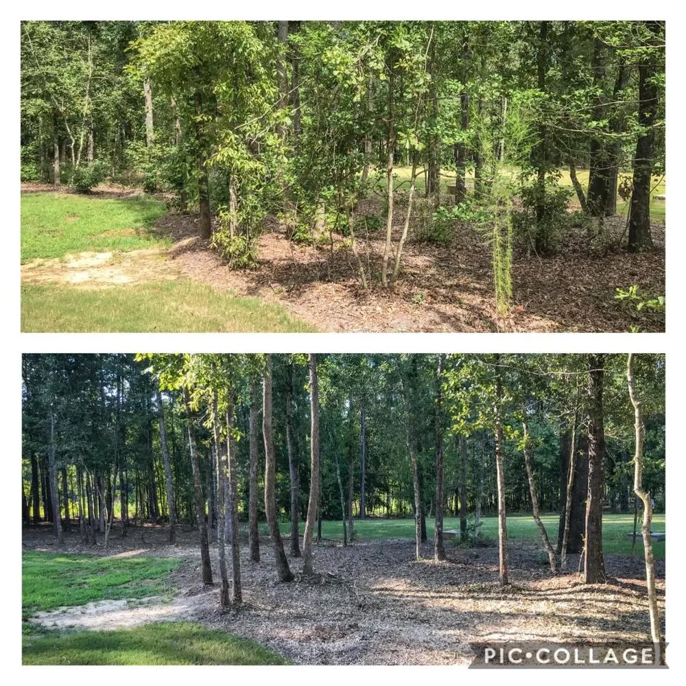 Professional lawn mowing service in Raleigh, NC by Stone Valley Landscapes