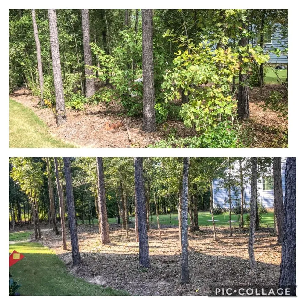 Top-rated lawn mowing service in Raleigh, NC by Stone Valley Landscapes