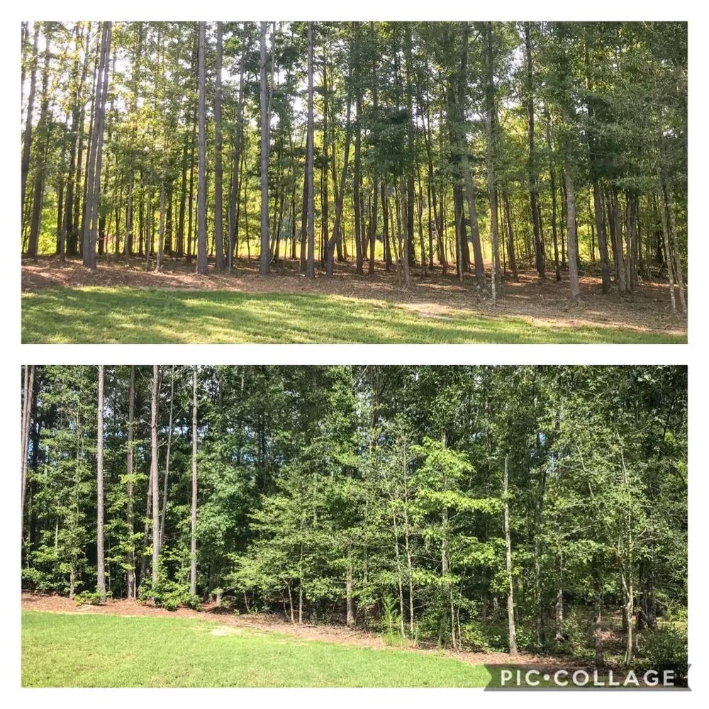 Affordable landscape design in Raleigh, NC by Stone Valley Landscapes