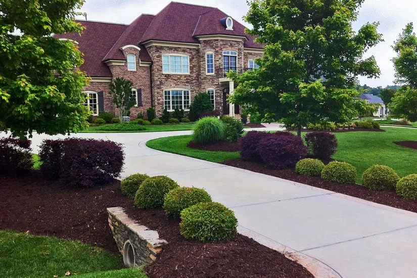 Reliable yard cleanup service in Raleigh, NC by Stone Valley Landscapes