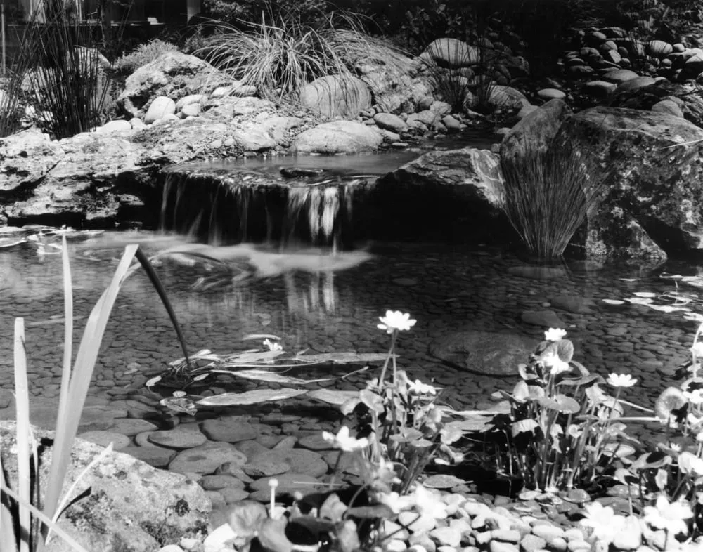 Local landscape design for residential properties across Baker City, OR - Stone Water Tree