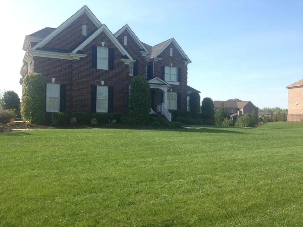 Trusted yard cleanup service in Mooresville, NC by Stone Worx