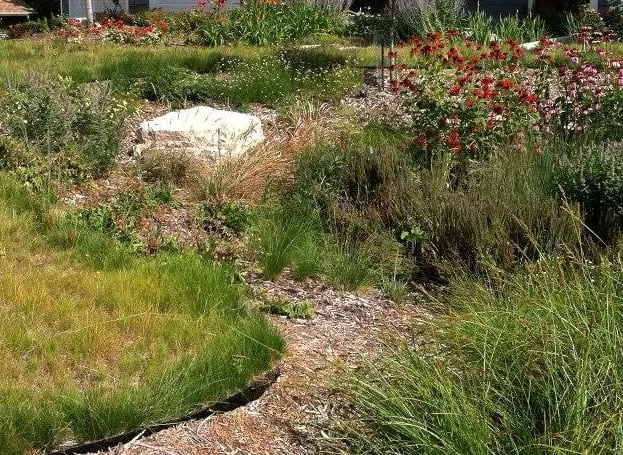 Expert lawn mowing service for residential properties in Minneapolis, MN by Stonecrop Design