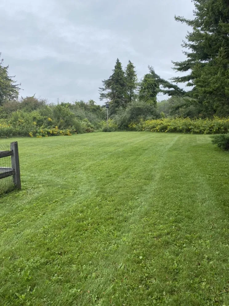 Reliable landscape design for residential properties in Chester, MA by Stonecrop Lawn and Gardens