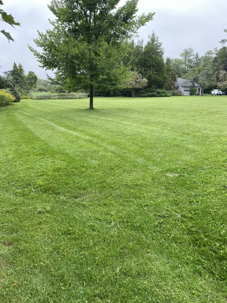 Professional landscape design in Chester, MA by Stonecrop Lawn and Gardens