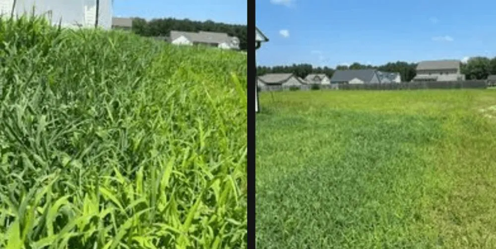 Expert landscaping services in Kenly, NC by Stoneface Lawncare