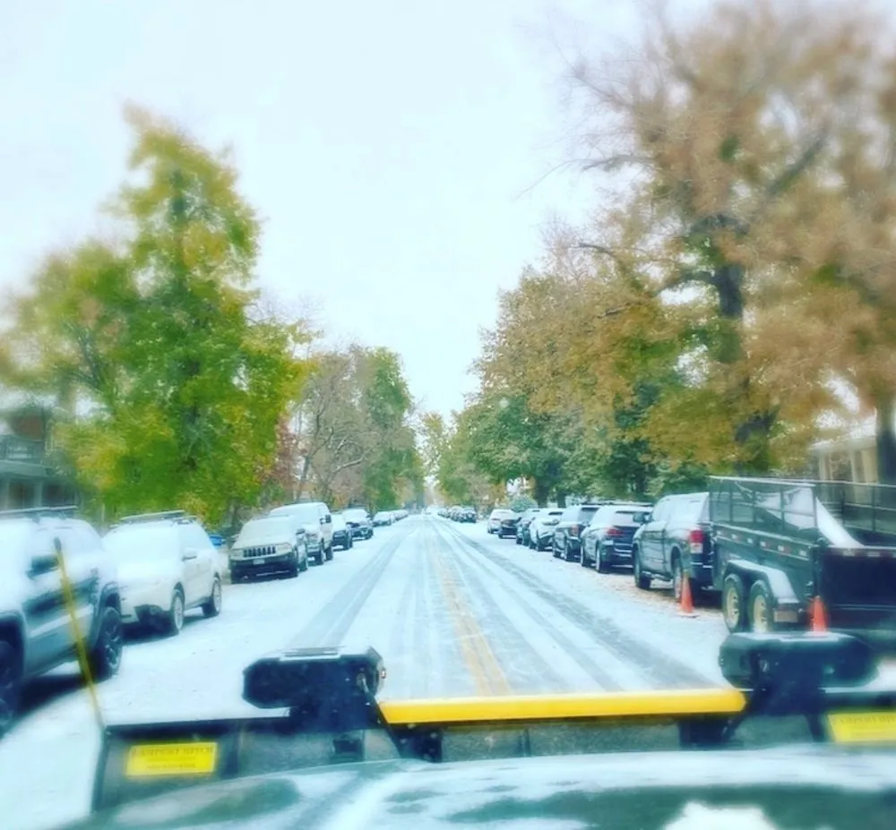 Expert yard cleanup service experts serving Denver, CO - Stonegate Gardens