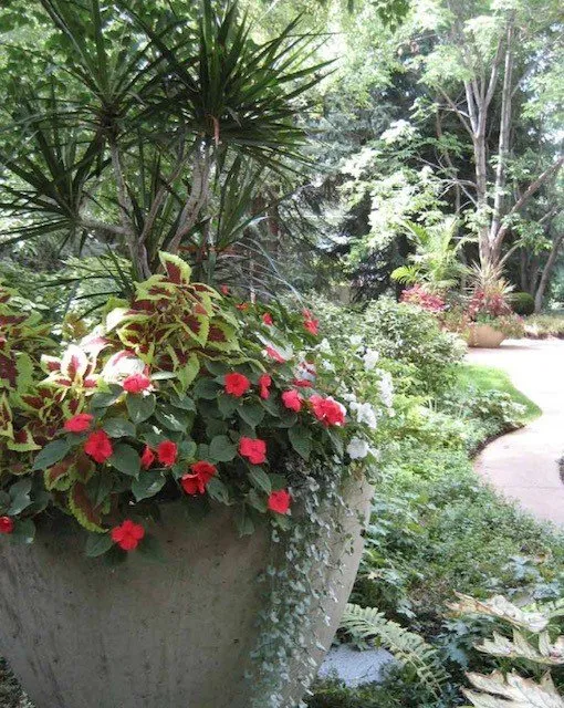 Custom lawn care service experts serving Denver, CO - Stonegate Gardens